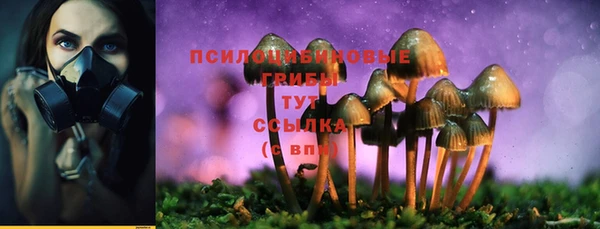 хмурый Абаза