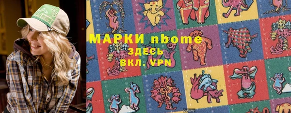 хмурый Абаза