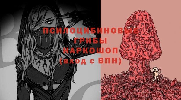 круглые Алзамай