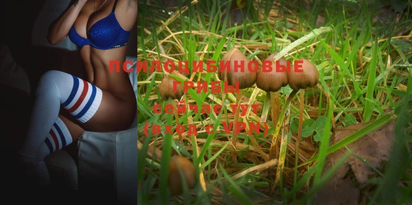 круглые Алзамай