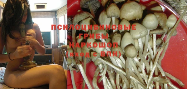 круглые Алзамай