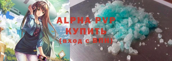 хмурый Абаза